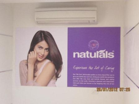 Lone Tree Yellowstone